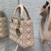 SMALL LADY DIOR