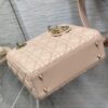 SMALL LADY DIOR