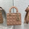 SMALL LADY DIOR