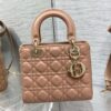 SMALL LADY DIOR