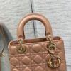 SMALL LADY DIOR