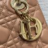 SMALL LADY DIOR