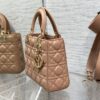 SMALL LADY DIOR
