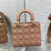 SMALL LADY DIOR