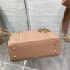 SMALL LADY DIOR