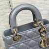 SMALL LADY DIOR