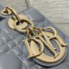 SMALL LADY DIOR