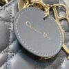 SMALL LADY DIOR