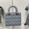 SMALL LADY DIOR