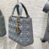 SMALL LADY DIOR