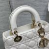 SMALL LADY DIOR