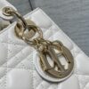 SMALL LADY DIOR