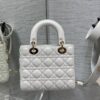 SMALL LADY DIOR
