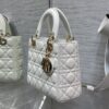 SMALL LADY DIOR