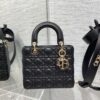 SMALL LADY DIOR