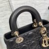 SMALL LADY DIOR