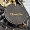 SMALL LADY DIOR