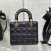 SMALL LADY DIOR