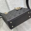 SMALL LADY DIOR