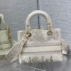 Dior Medium Lady D-Lite bag