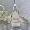 Dior Medium Lady D-Lite bag
