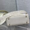 Dior Medium Lady D-Lite bag