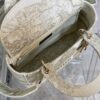 Dior Medium Lady D-Lite bag