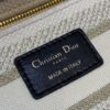 Dior Medium Lady D-Lite bag