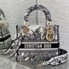 Dior Medium Lady D-Lite bag
