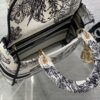 Dior Medium Lady D-Lite bag
