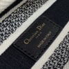 Dior Medium Lady D-Lite bag