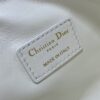 MEDIUM DIORTRAVEL NOMAD POUCH