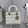 SMALL LADY DIOR BAG