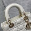 SMALL LADY DIOR BAG