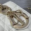 SMALL LADY DIOR BAG