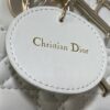 SMALL LADY DIOR BAG