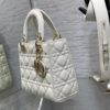 SMALL LADY DIOR BAG