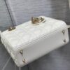 SMALL LADY DIOR BAG