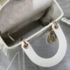 SMALL LADY DIOR BAG