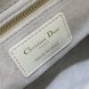 SMALL LADY DIOR BAG