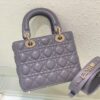SMALL LADY DIOR BAG