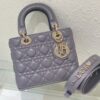 SMALL LADY DIOR BAG