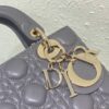 SMALL LADY DIOR BAG