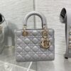 SMALL LADY DIOR BAG