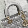 SMALL LADY DIOR BAG