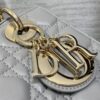 SMALL LADY DIOR BAG