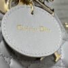 SMALL LADY DIOR BAG