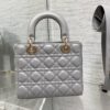 SMALL LADY DIOR BAG