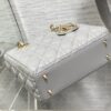 SMALL LADY DIOR BAG