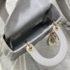 SMALL LADY DIOR BAG